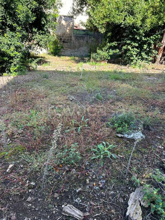 immagine annuncio 3 di 8