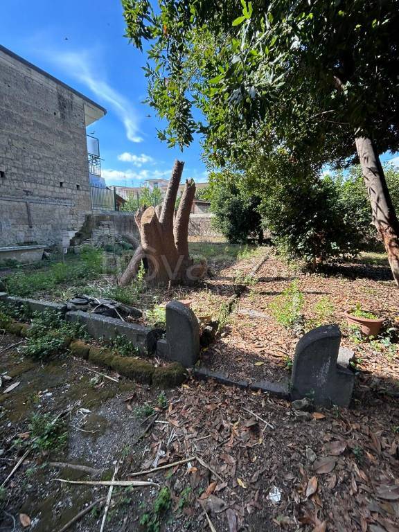 immagine annuncio 4 di 8