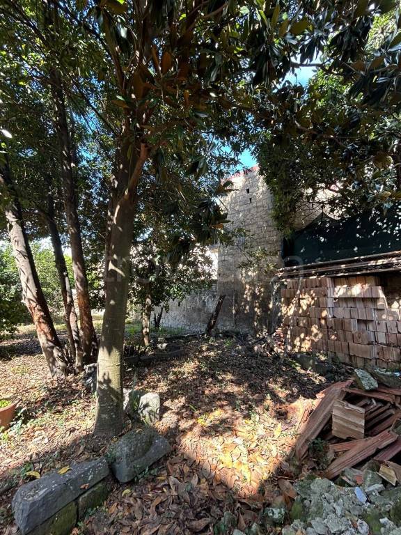 immagine annuncio 5 di 8