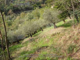 Terreno agricolo in vendita a notaresco via della fontana