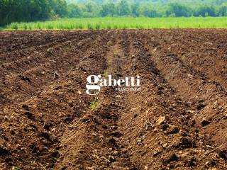 Terreno agricolo in vendita ad arre via ca' brazzo, 45