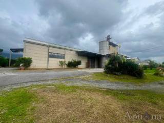 Capannone industriale in vendita a massa via degli oliveti