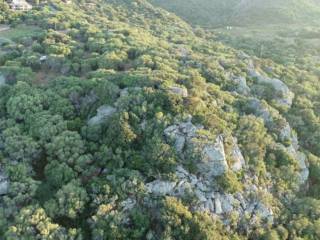 Terreno agricolo in vendita a tempio pausania località san pasquale