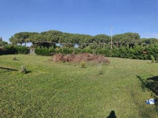 Terreno agricolo in vendita a tarquinia strada poggio della birba, 4