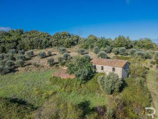 Casale in vendita ad arezzo via campo all'olivo