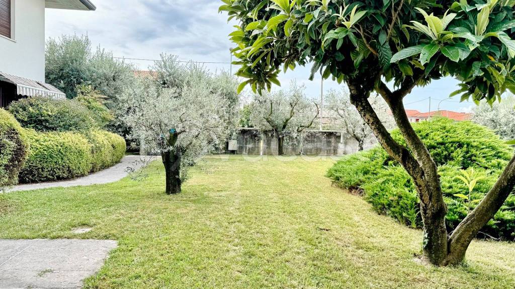 immagine annuncio 5 di 6