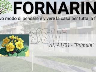 Appartamento in vendita a faenza via fornarina