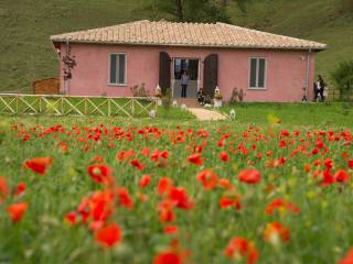 Ristorante in in vendita da privato a tarano strada regionale sabina