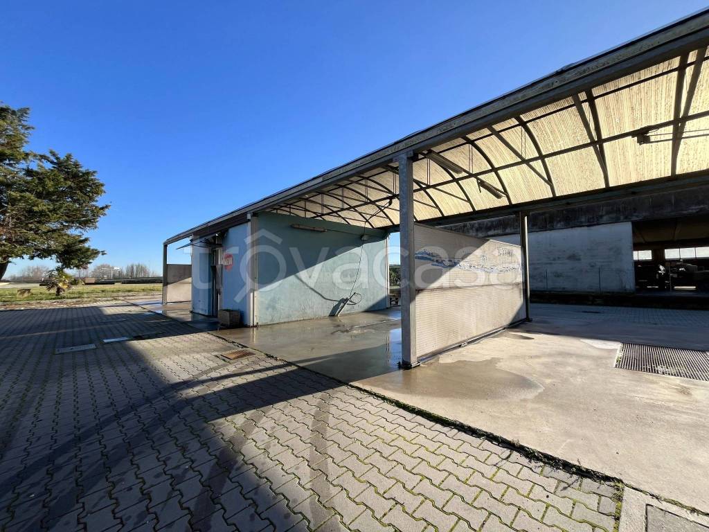 immagine annuncio 3 di 9