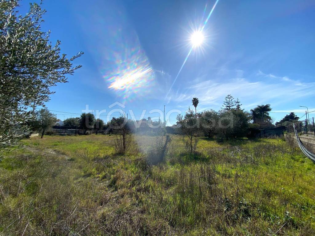 immagine annuncio 1 di 7