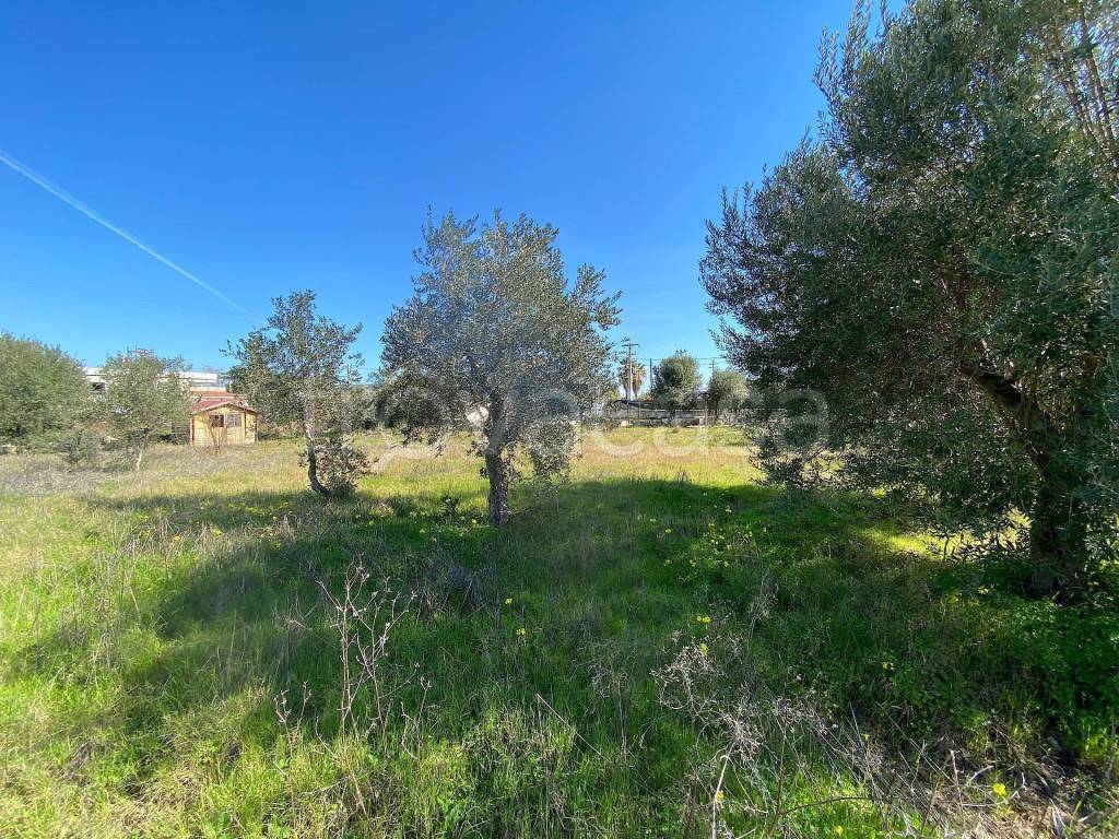 immagine annuncio 2 di 7