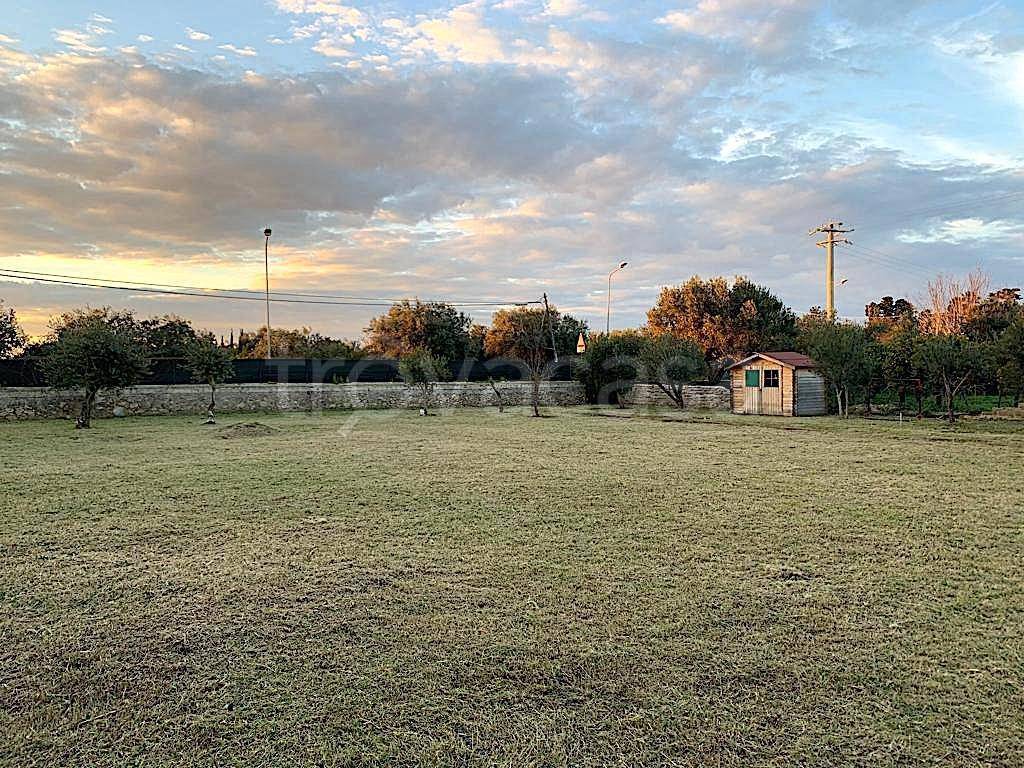 immagine annuncio 5 di 7