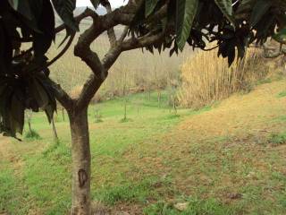 Terreno agricolo in vendita a vasto strada vicinale vallone del maltempo