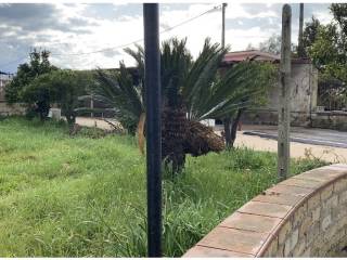 Terreno agricolo in affitto a pozzuoli via cuma licola