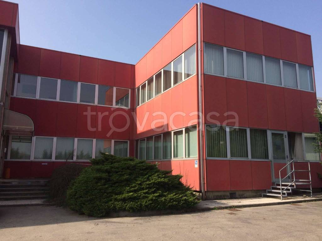 immagine annuncio 11 di 12
