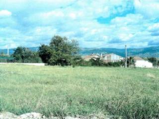 Terreno agricolo in vendita a montalto uffugo località santa maria di settimo