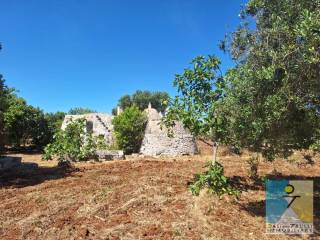 Trullo in vendita a ostuni contrada boccadoro