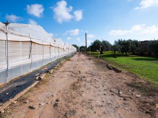 Terreno agricolo in vendita a vittoria contrada sughero