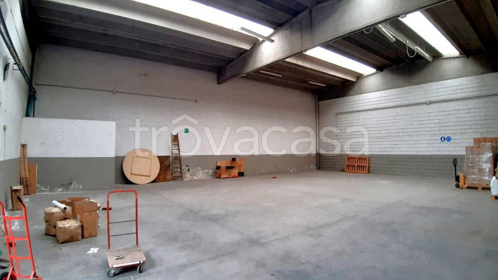 immagine annuncio 9 di 15