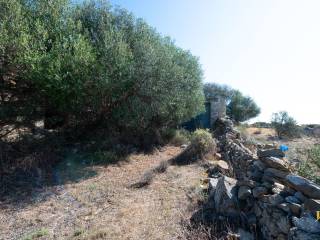 Terreno agricolo in vendita a santa croce camerina 