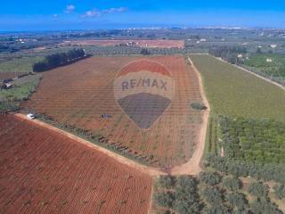 Terreno agricolo in vendita a castelvetrano contrada canalotto