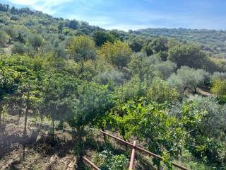 Casale in vendita a prignano cilento prignano