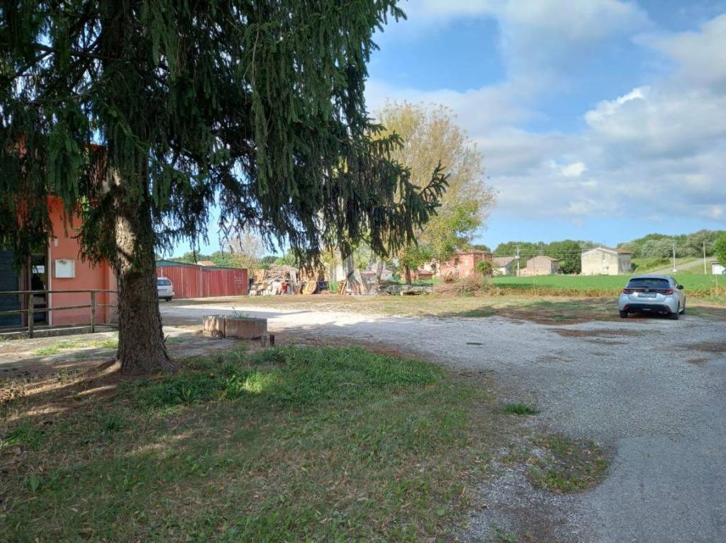 immagine annuncio 1 di 7