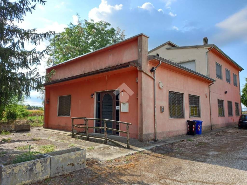 immagine annuncio 2 di 7