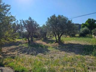 Terreno agricolo in vendita a davoli via manozzolo