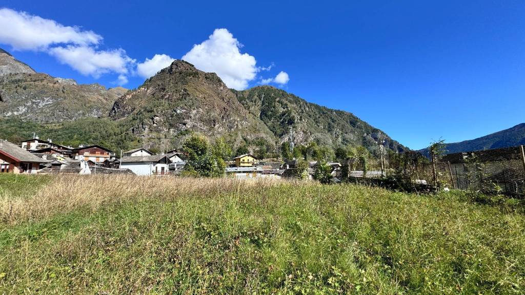 immagine annuncio 2 di 3