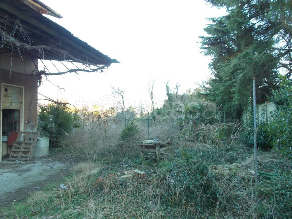 immagine annuncio 11 di 13
