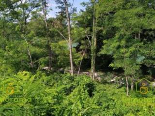 Terreno agricolo in vendita a noventa di piave noventa di piave ,