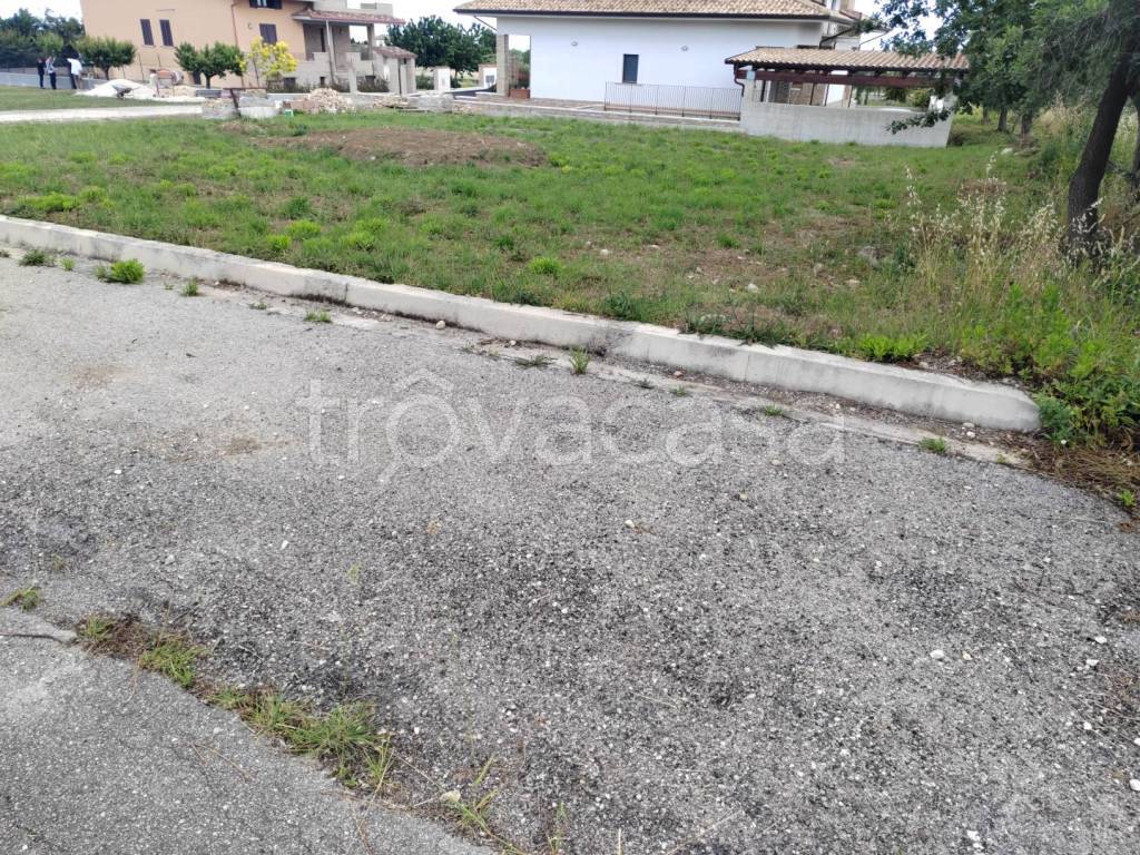 immagine annuncio 2 di 8