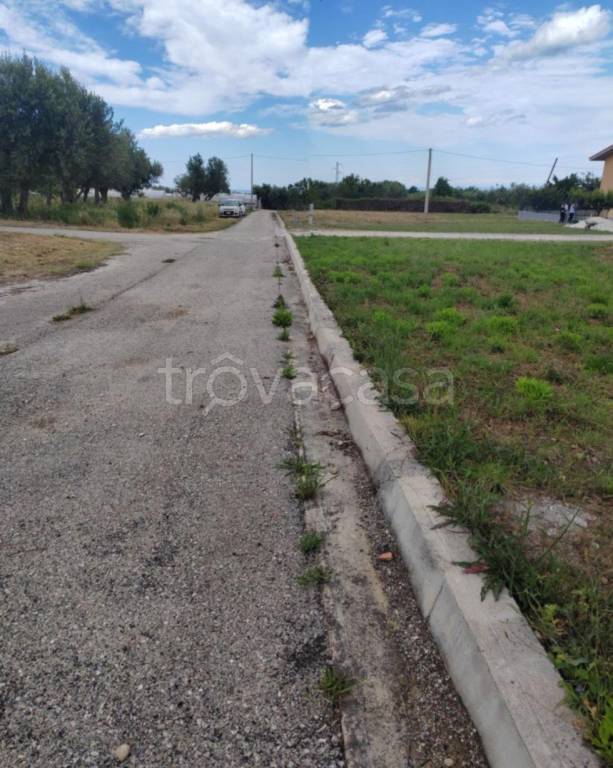 immagine annuncio 3 di 8