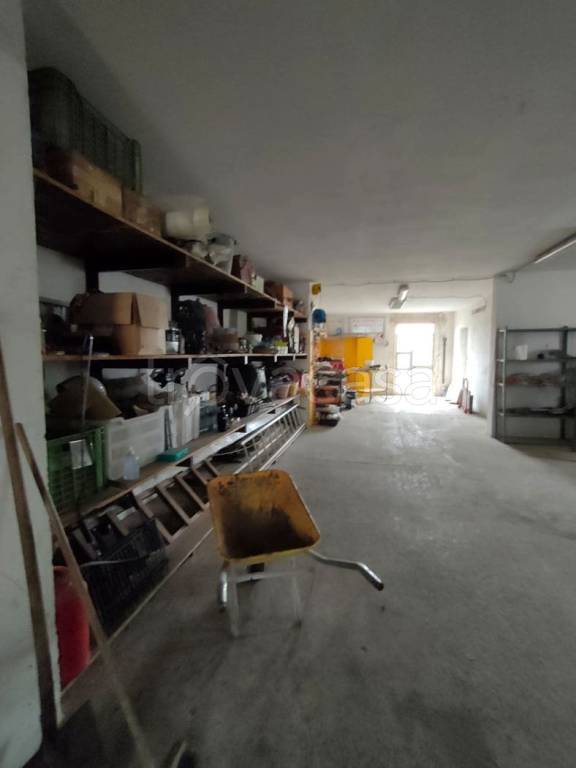 immagine annuncio 4 di 9