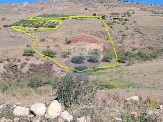 Terreno agricolo in vendita a centuripe strada provinciale 24 bis