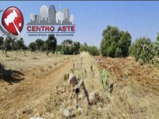 Terreno agricolo in vendita a polignano a mare via don lorenzo milani