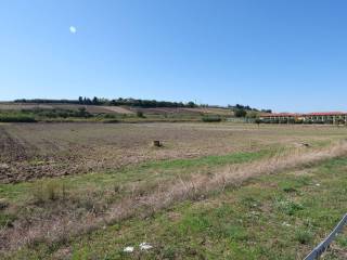 Terreno residenziale in vendita a petacciato strada statale adriatica