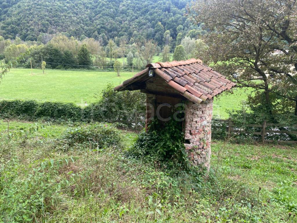 immagine annuncio 5 di 12
