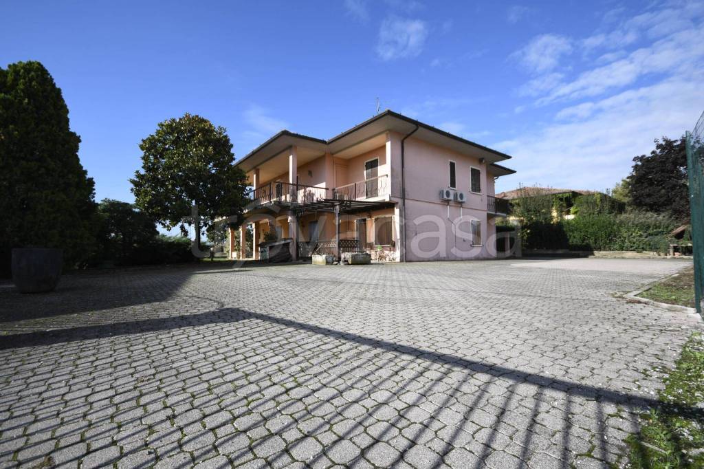 immagine annuncio 8 di 15