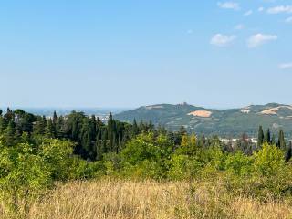 Terreno agricolo in vendita a sasso marconi via moglio