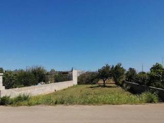 Terreno agricolo in vendita a castrignano del capo via verdi s.n.c.