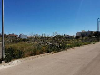 Terreno agricolo in vendita a castrignano del capo via verdi s.n.c.