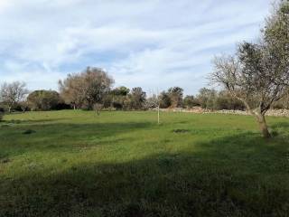 Terreno agricolo in vendita a castrignano del capo ctr serine s.n.c.