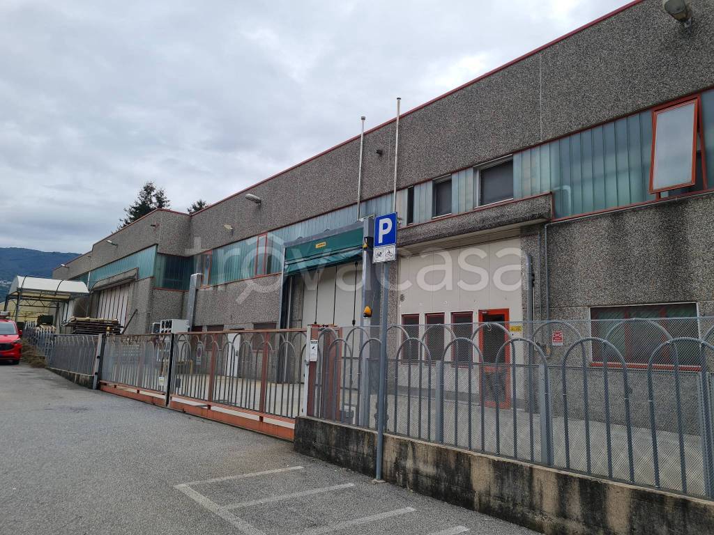 immagine annuncio 1 di 7