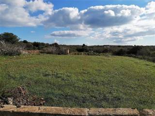 Terreno agricolo in vendita a castrignano del capo traversa di via ofanto s.n.c.