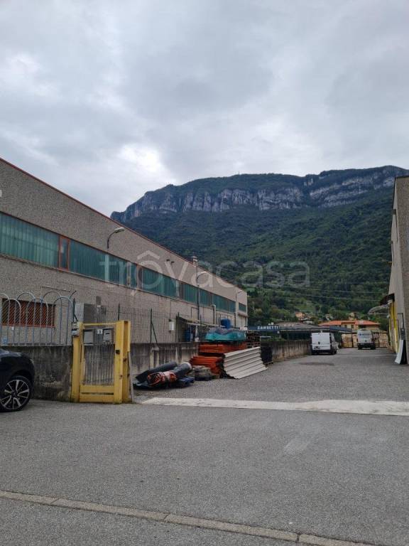 immagine annuncio 6 di 7