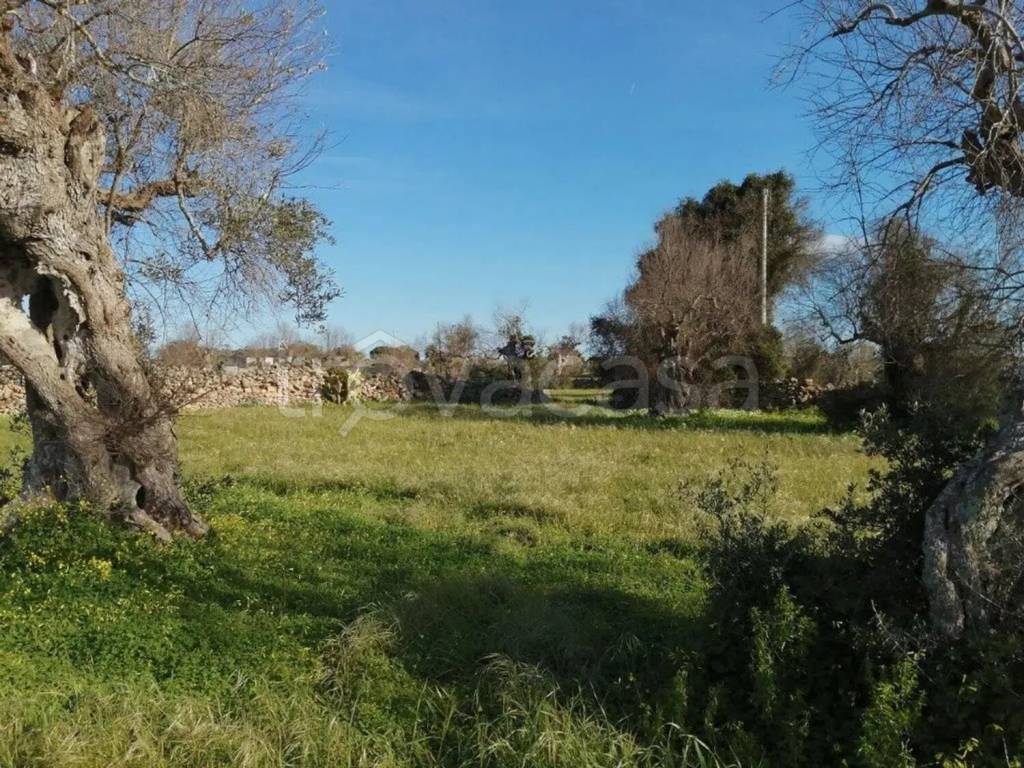 immagine annuncio 10 di 14