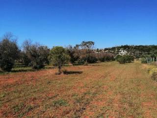 Terreno agricolo in vendita a castrignano del capo contrada fei s.n.c.