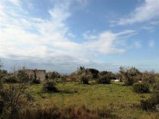 Terreno agricolo in vendita a patù località volito s.n.c.